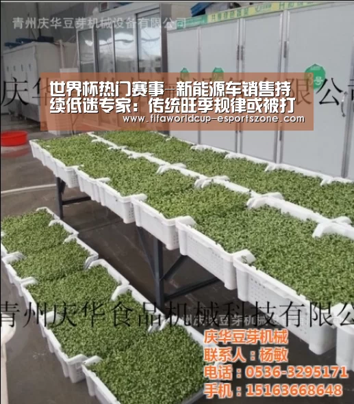 世界杯热门赛事-新能源车销售持续低迷专家:传统旺季规律或被打破(图2) 世界杯官方入口