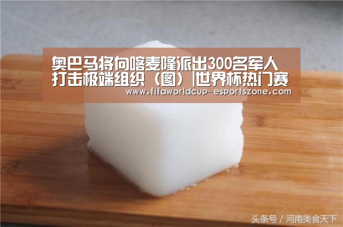 奥巴马将向喀麦隆派出300名军人 打击极端组织(图)|世界杯热门赛事(图2) 世界杯综合娱乐平台