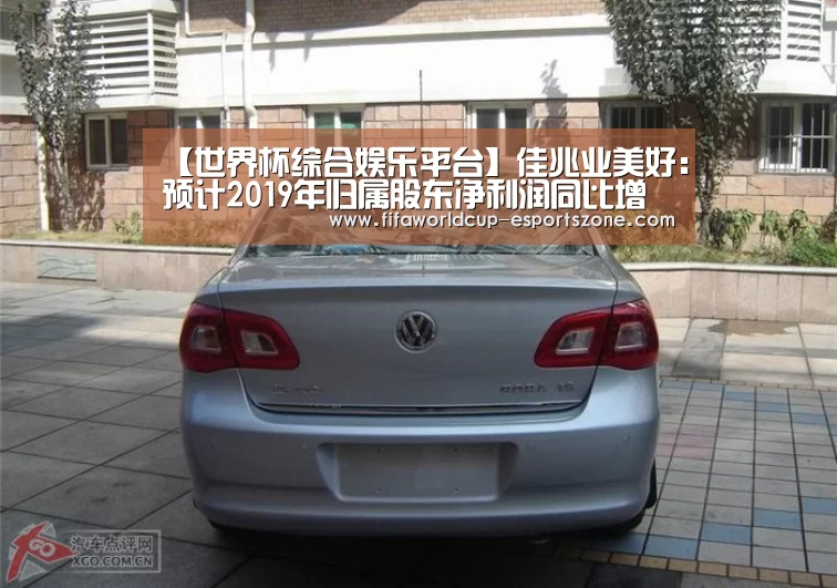 【世界杯综合娱乐平台】佳兆业美好:预计2019年归属股东净利润同比增幅190%(图2) FIFA World Cup