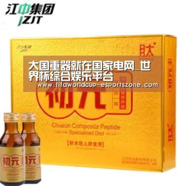 大国重器就在国家电网_世界杯综合娱乐平台(图1) 世界杯综合娱乐平台